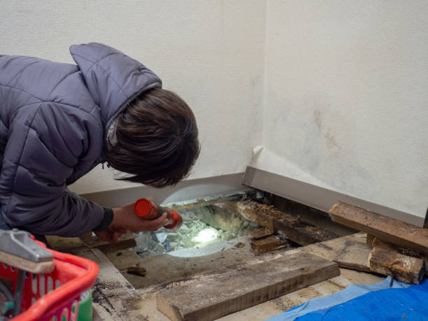 Best Forensic Mold Investigation  in Benton City, WA