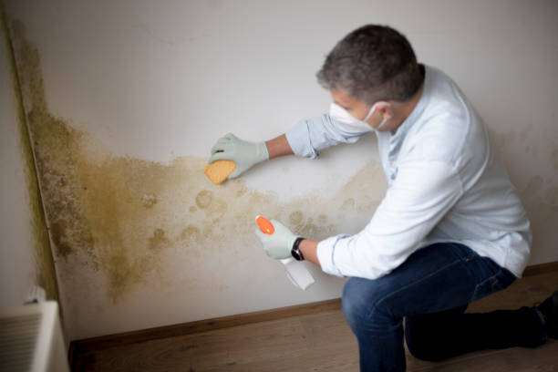 Best Mold Remediation for Healthcare Facilities  in Benton City, WA