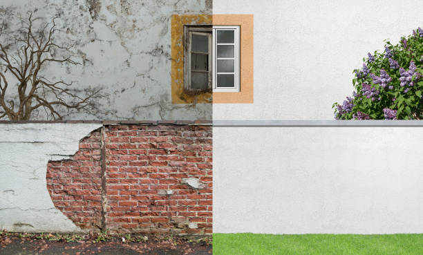 Best Basement Mold Removal  in Benton City, WA